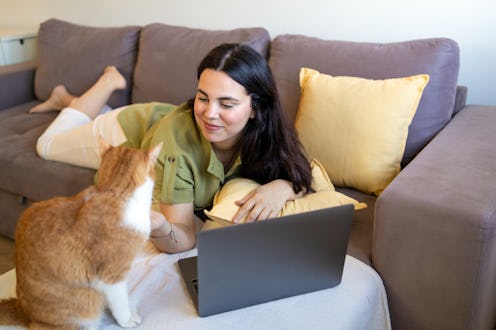 Woman lying on the sofa working with laptop and caressing a cat