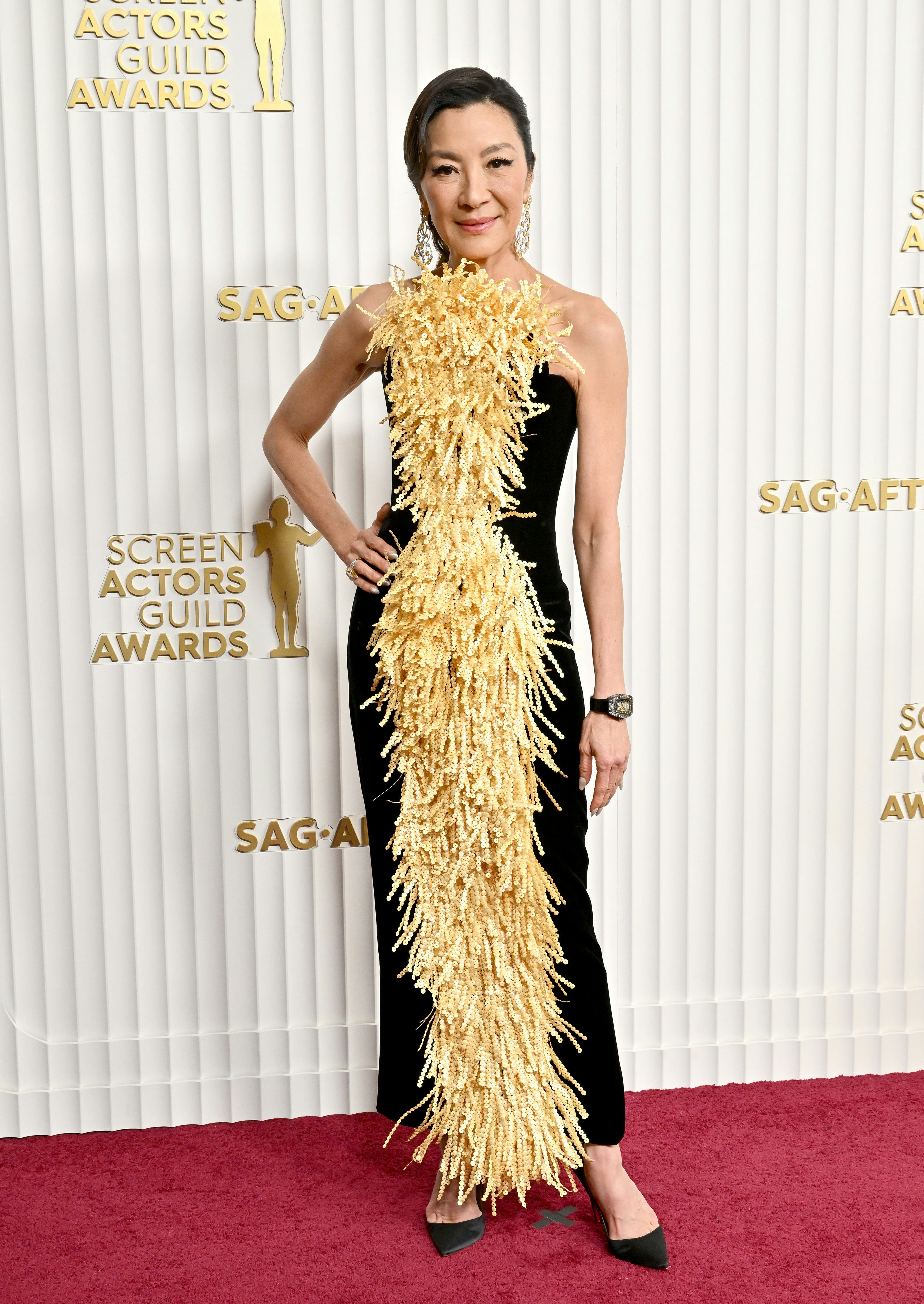 Sag 2024 awards outfits