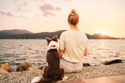Young woman with a Border Collie dog meets the sunset by the sea. Rear view.