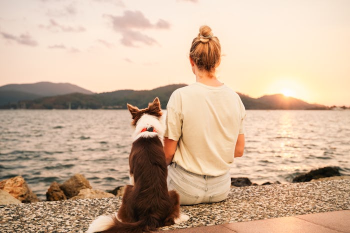 Young woman with a Border Collie dog meets the sunset by the sea. Rear view.