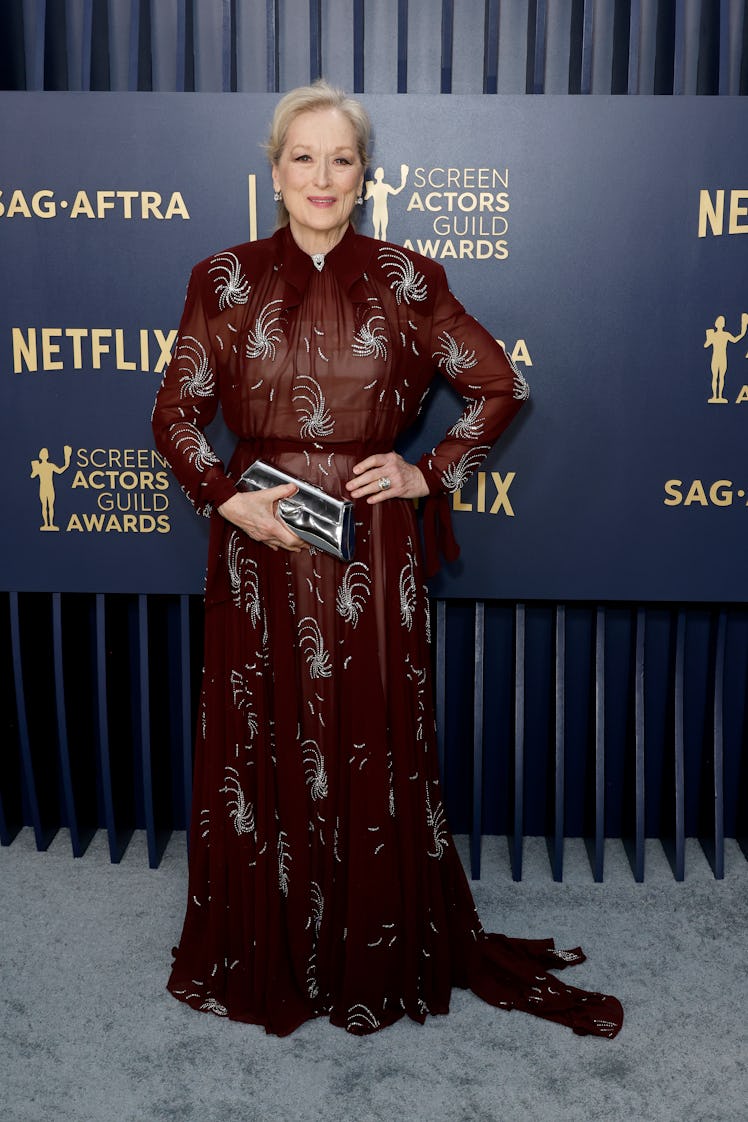 Meryl Streep attends the 30th Annual Screen Actors Guild Awards 