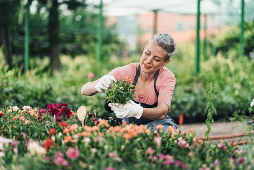 Garden center worker in a flower greenhouse. Horizontal shot