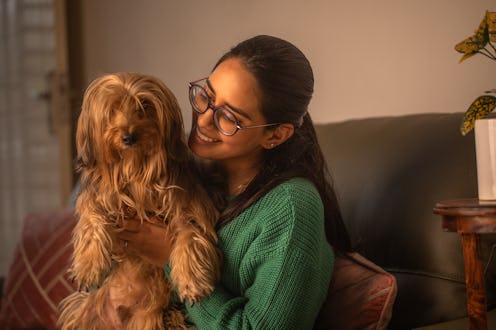 Happy loving young woman embracing furry Yorkshire Terrier while relaxing on sofa in living room at ...