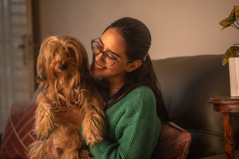 Happy loving young woman embracing furry Yorkshire Terrier while relaxing on sofa in living room at ...