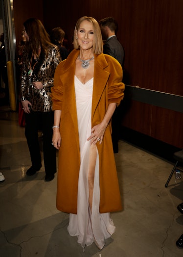 Celine Dion behind the scenes at The 66th Annual Grammy Awards, airing live from Crypto.com Arena in...