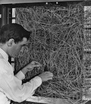 A man adjusting the random wiring network between the light sensors and association unit of scientis...