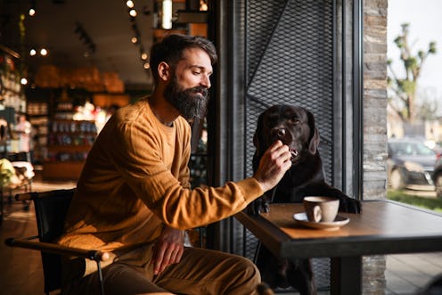 Young man with his pet Labrador in coffee shop