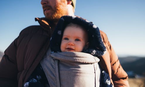 Close-up of a cheerful baby bundled in a carrier during a sunny hike with father against a scenic ba...