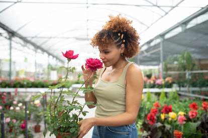 Celebrate the spring equinox by buying yourself flowers.