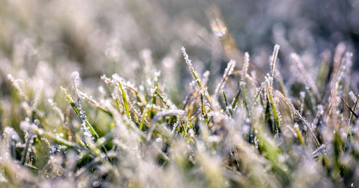 15 End-Of-Winter Quotes That Will Make You Excited For Spring