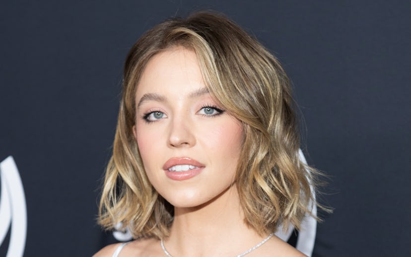 BEVERLY HILLS, CALIFORNIA - MARCH 14: Sydney Sweeney attends the 35th Annual GLAAD Media Awards at T...