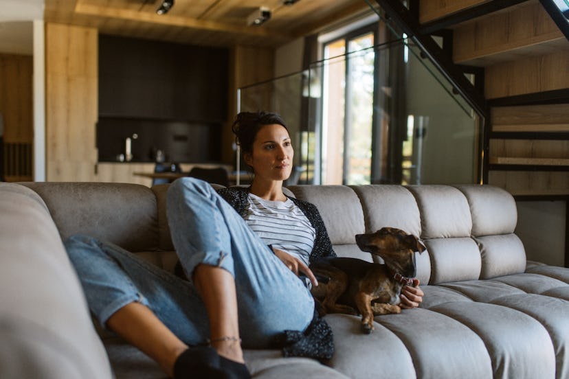 They’ll housesit and watch your pets.