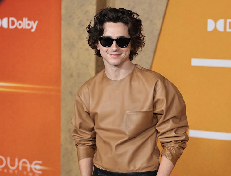 NEW YORK, NEW YORK - FEBRUARY 25: Timothée Chalamet attends the "Dune: Part Two" premiere at Lincoln...