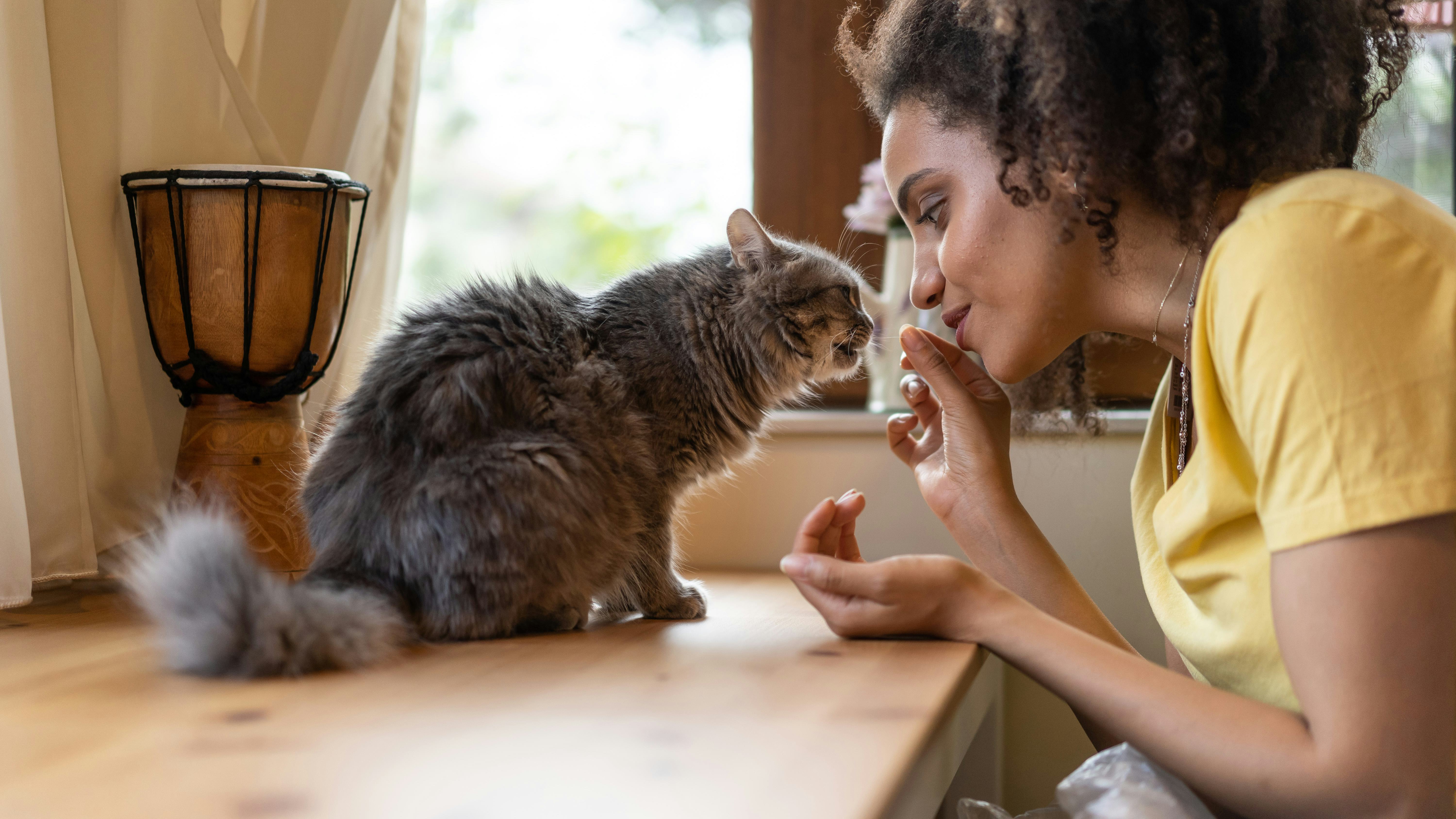 An evolved Virgo knows how to relax.