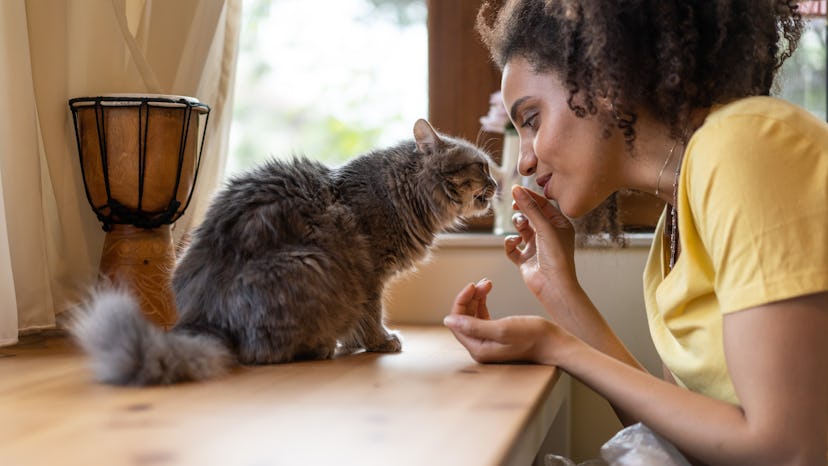 An evolved Virgo knows how to relax.