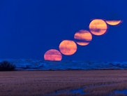 The rising of the Full Moon on March 9, 2020, (sometimes known as the Worm Moon) with a deer in the ...