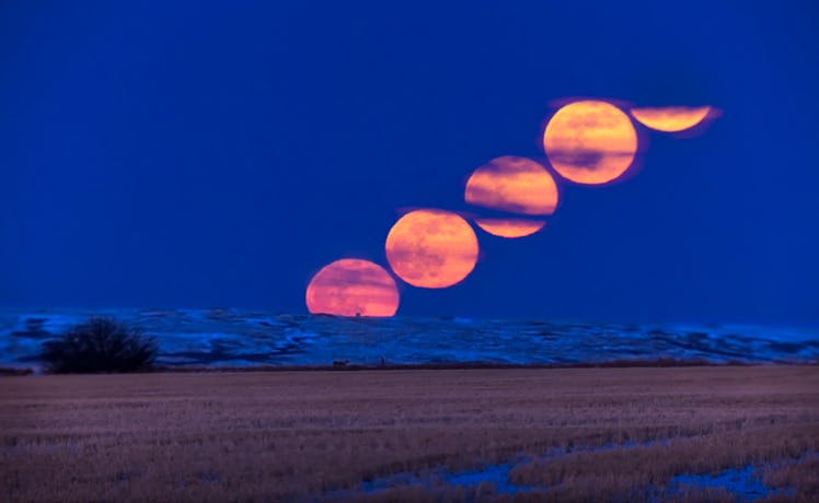 The rising of the Full Moon on March 9, 2020, (sometimes known as the Worm Moon) with a deer in the ...