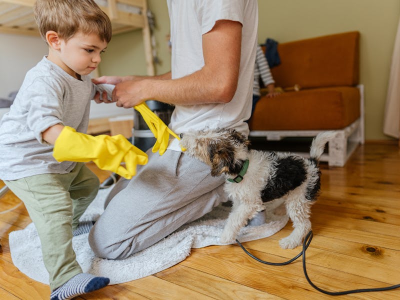 Photo of a little boy and his father, deep cleaning their home due to coronavirus pandemic. Their fa...
