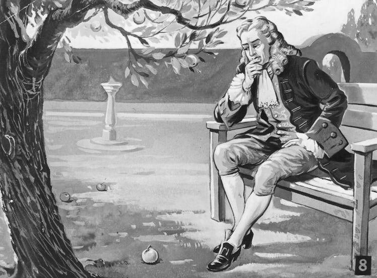 English mathematician and physicist Sir Isaac Newton (1642 - 1727) contemplates the force of gravity...