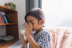 Young girl drinking milk in living room, in a story answering the question can kids drink protein sh...
