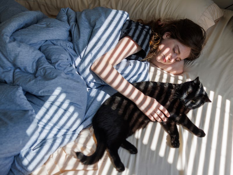 Cat and owner: a morning friendship bonding experience in bed, trust and love