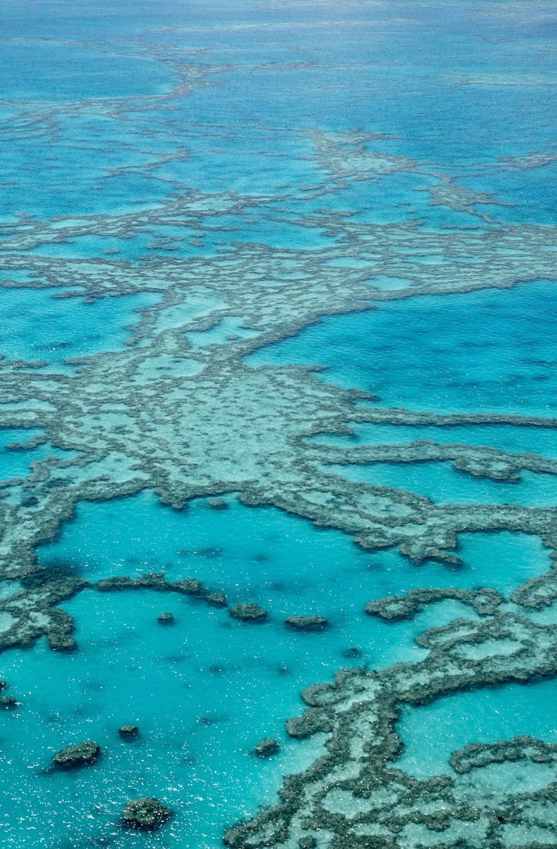 Great Barrier Reef from above, Queensland, Australia.