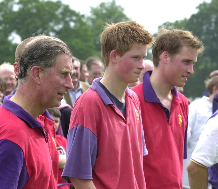 Prince Harry might pass on his love of polo to his children.