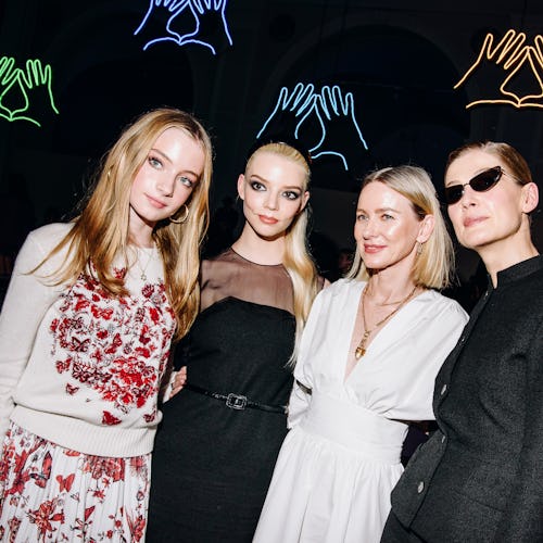 the best celebrity looks at the Dior Pre-Fall 2024 show