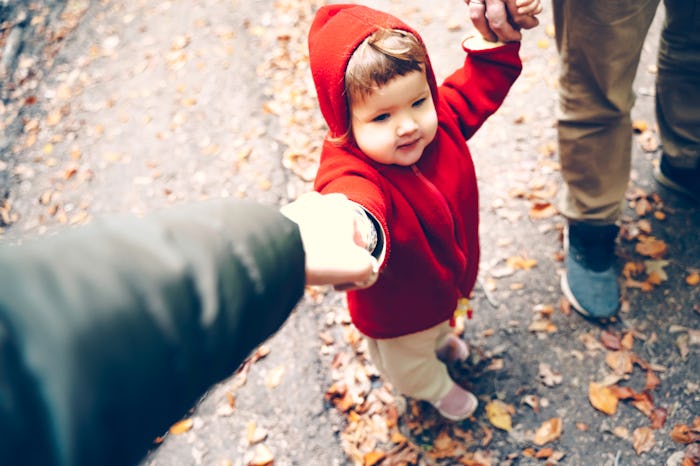 Young active family of hikers walking in the Autumn forest with the toddler baby and backpacks. The ...