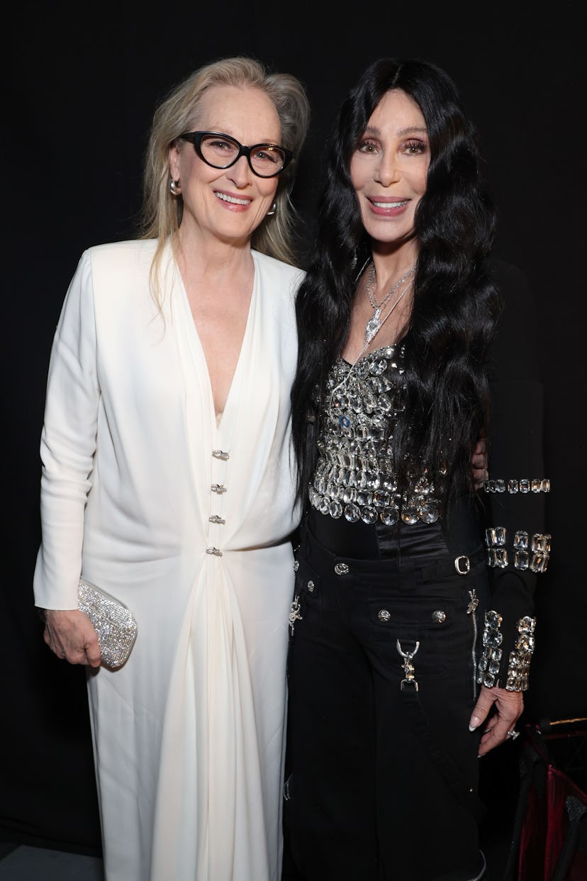 LOS ANGELES, CALIFORNIA - APRIL 01: (FOR EDITORIAL USE ONLY) (L-R) Meryl Streep and Cher attend the ...