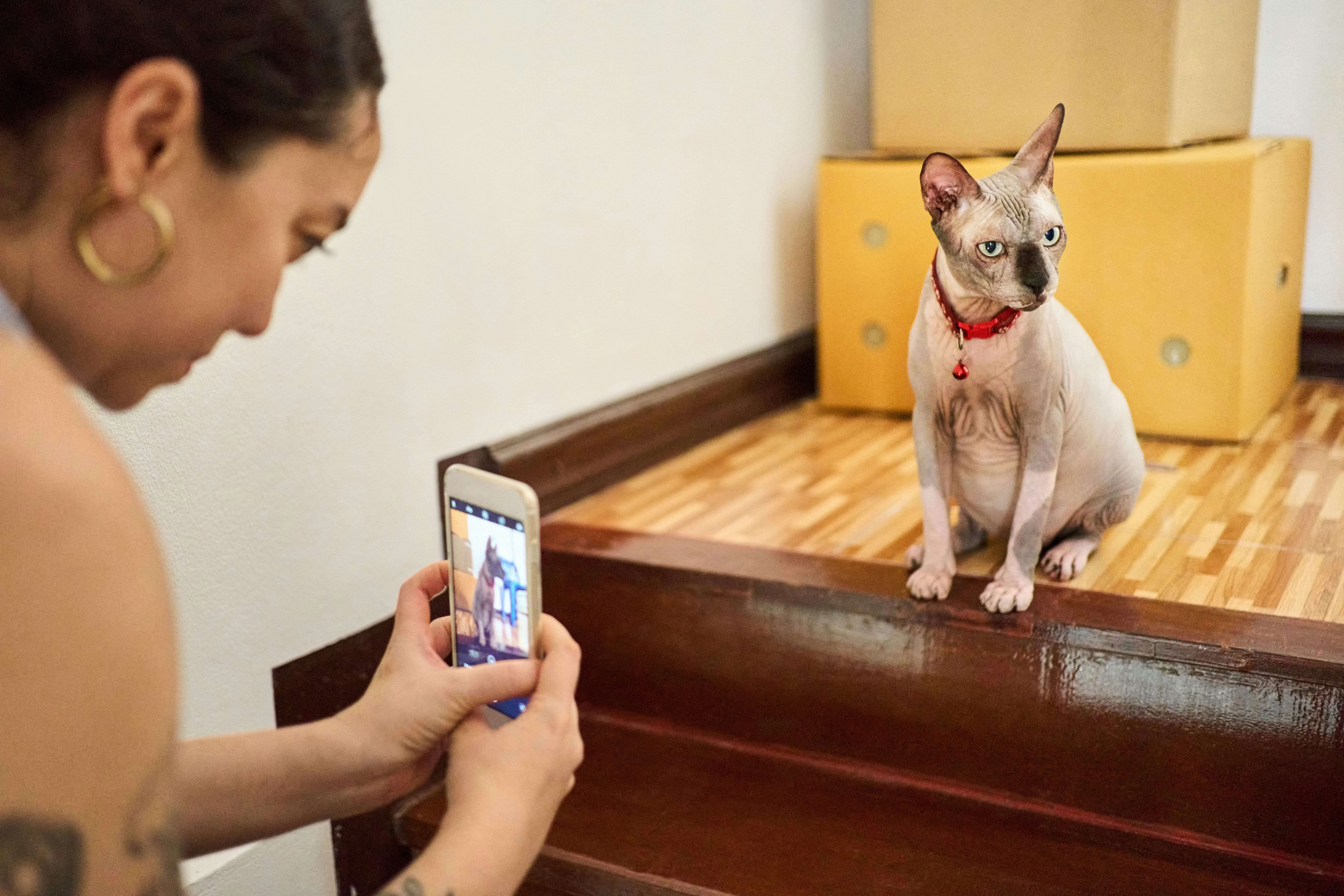 Funny pet Instagram caption ideas.