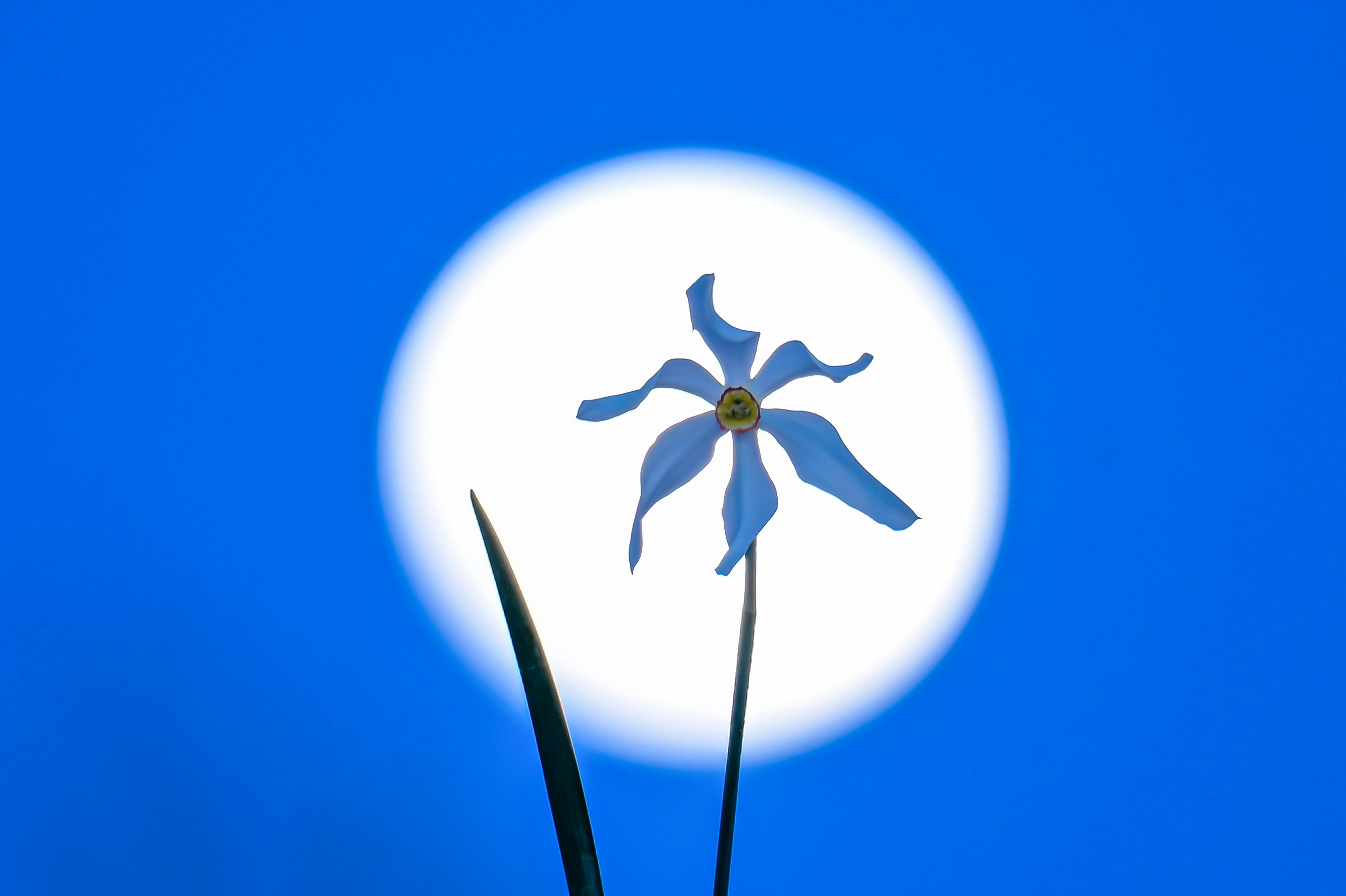 All of the astrological events happening in May 2024.