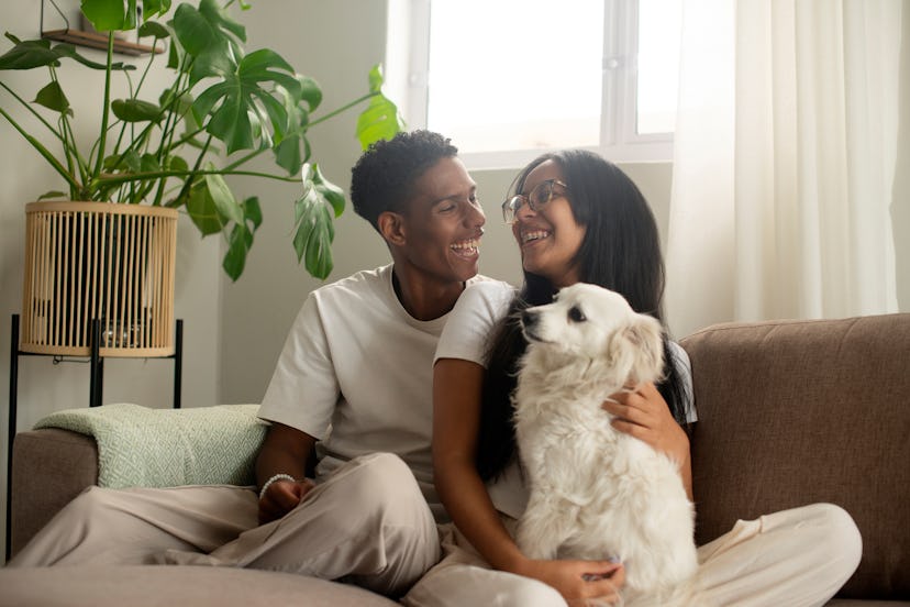 Happy couple, living room couch and dog in home, laugh and embrace with love, young or pet care. Boy...