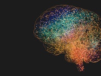 Human brain, illustration