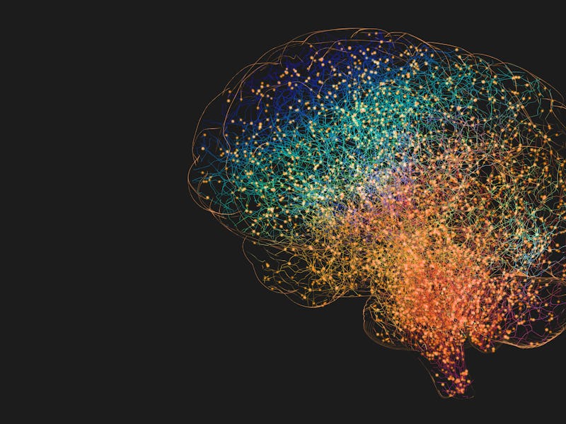 Human brain, illustration