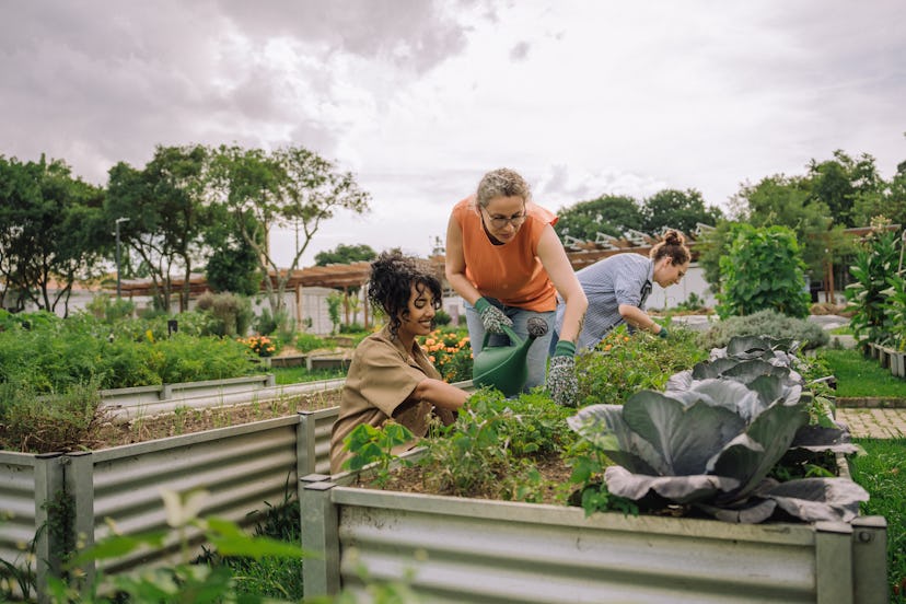 Pisces should volunteer in order to stay connected to reality.