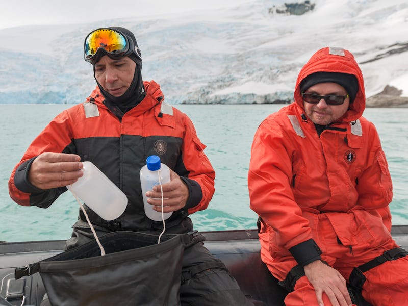 KING GEORGE ISLAND, ANTARCTICA - JANUARY 04: Researcher Luiz Rosa from the MycoAntar project identif...