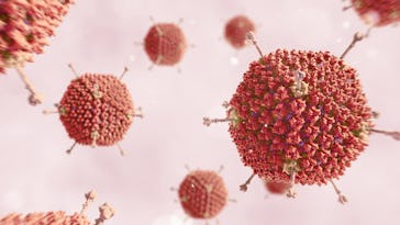 Illustration of adenovirus particles for gene therapy
