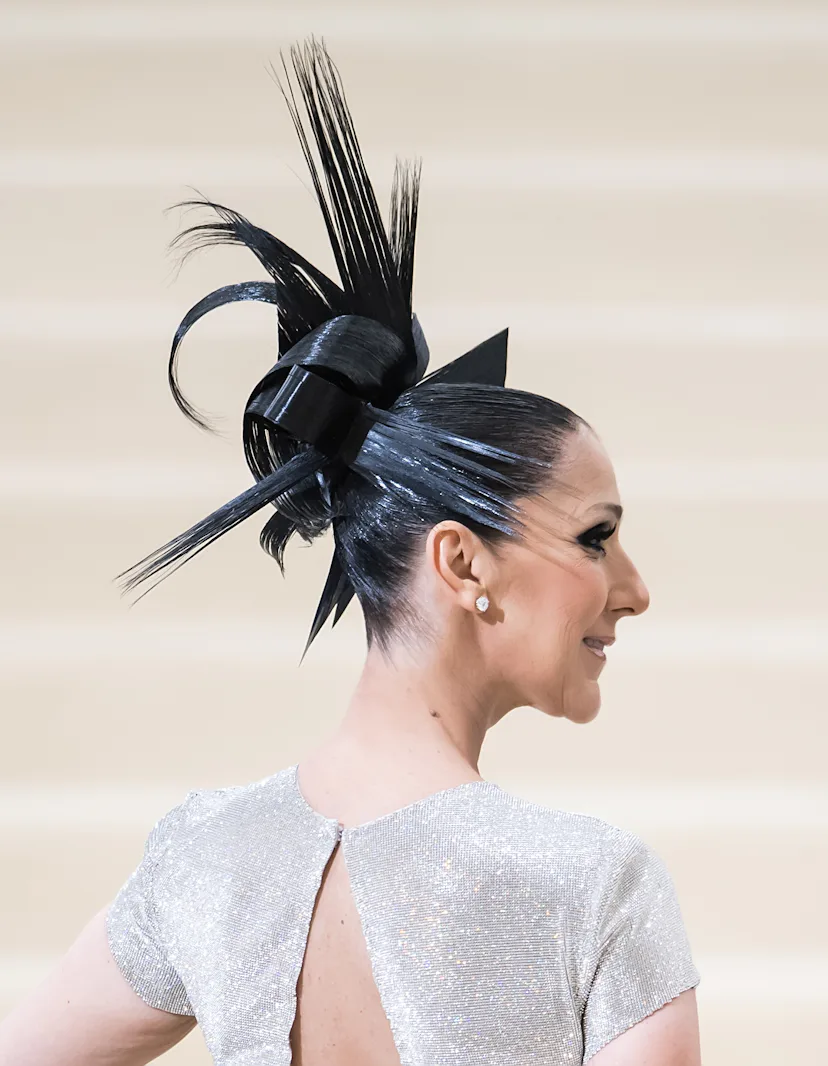 Celine Dion Met Gala 2017
