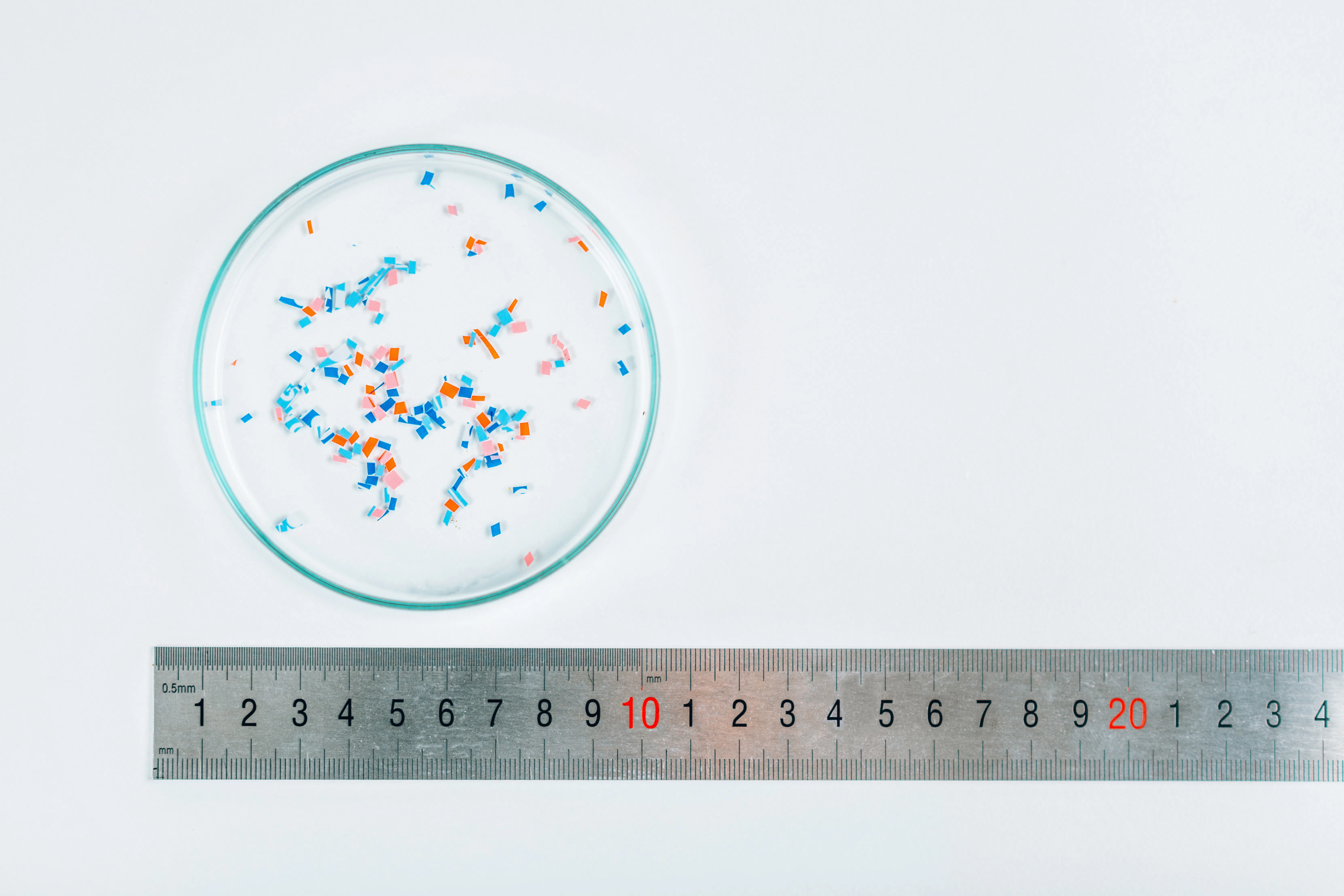 A New Study Found Microplastics In Every Testicle It Sampled — How Bad Is That? - Vimarsana News