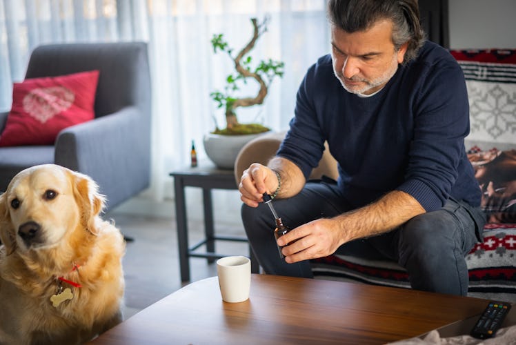 Mature man adds CBD oil to his tea as he starts the morning with his dog