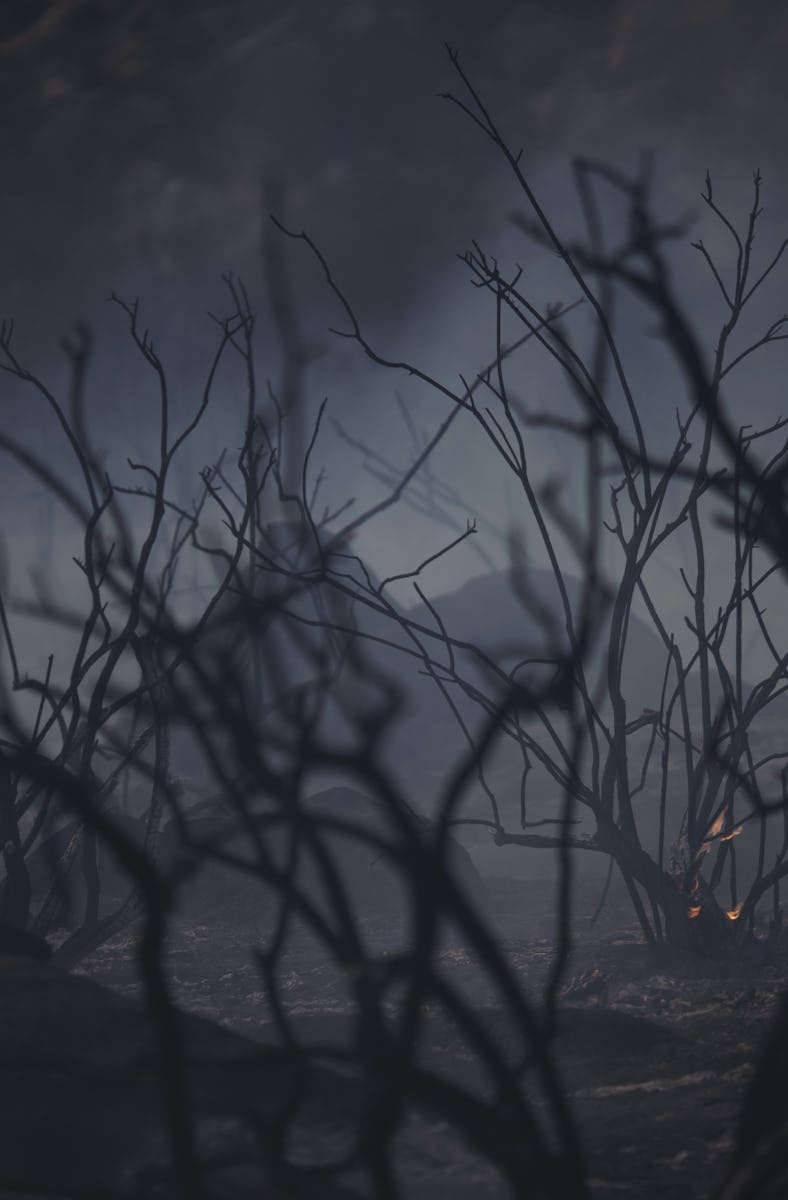Burnt bushes destroyed by wildfire on a hillside. Photographer: Eric Thayer/Bloomberg