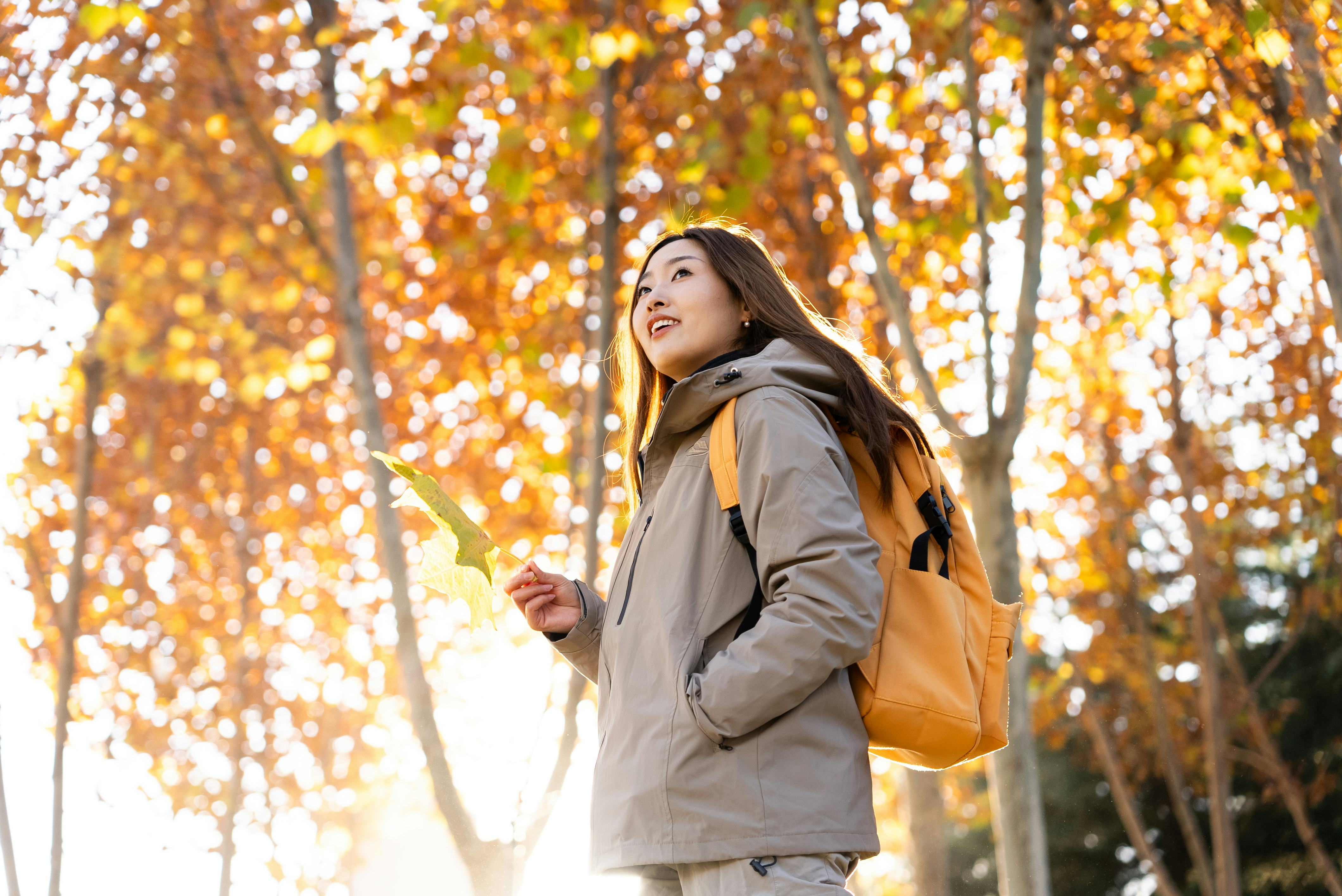 Women walking and enjoying the golden autumn woodland