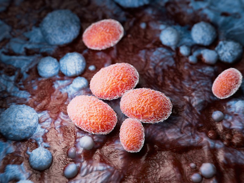 Viral Infection Monkeypox Virus - 3d rendered image. Medical illustration of mpox virus structure an...