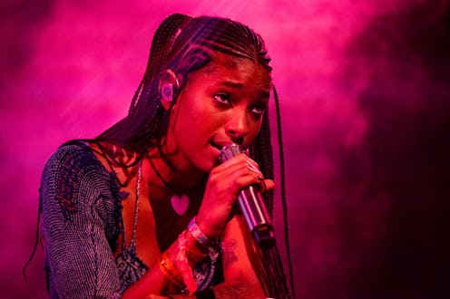 Willow Smith said "insecurity" about being considered a nepo baby pushed her harder.