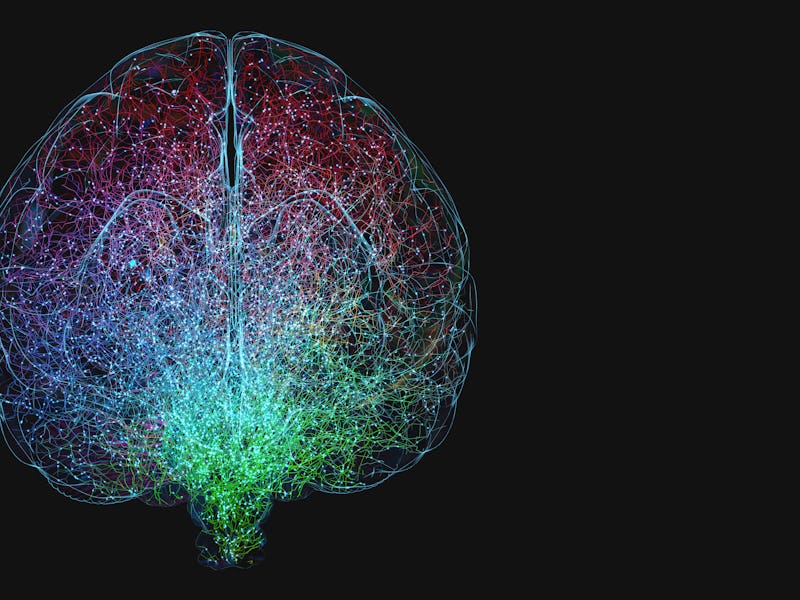 Human brain, illustration
