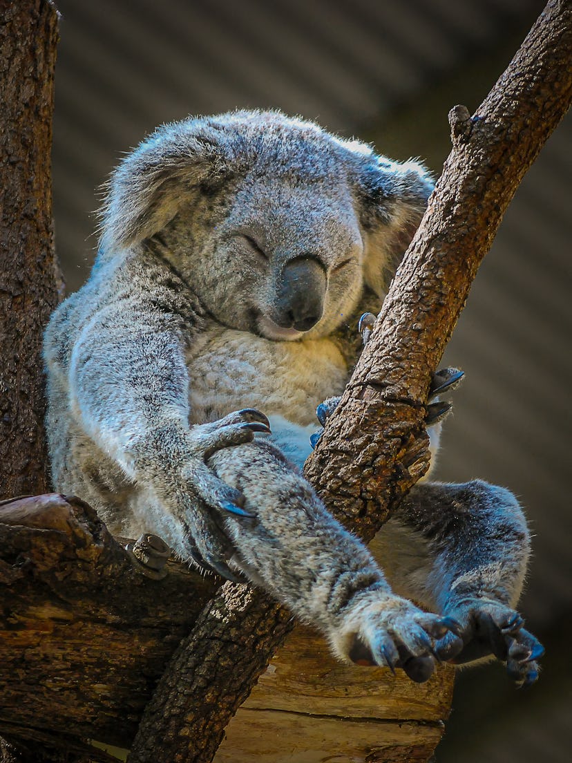 getty 2154510367 getty 2154510367