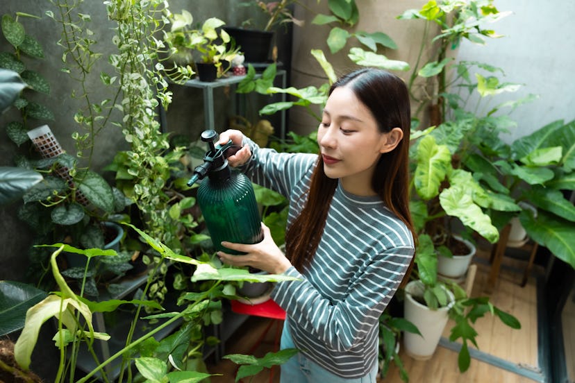 Your subconscious mind is a major player when it comes to manifestating — like, even bigger than you…