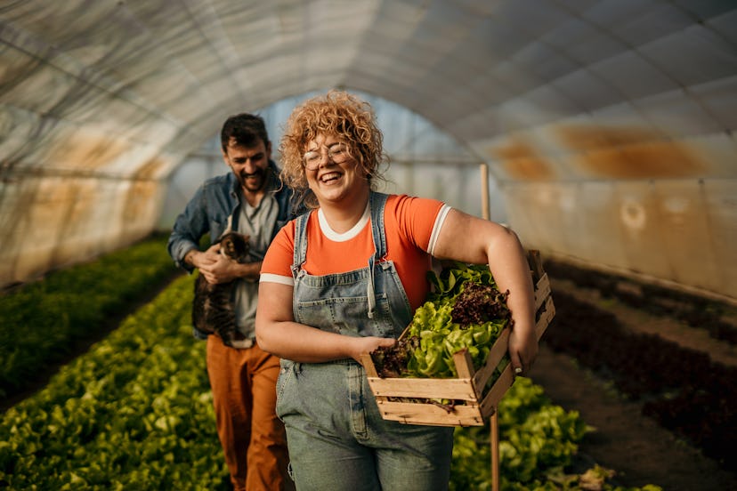 Gardening helps creates feelings of positive vibes.