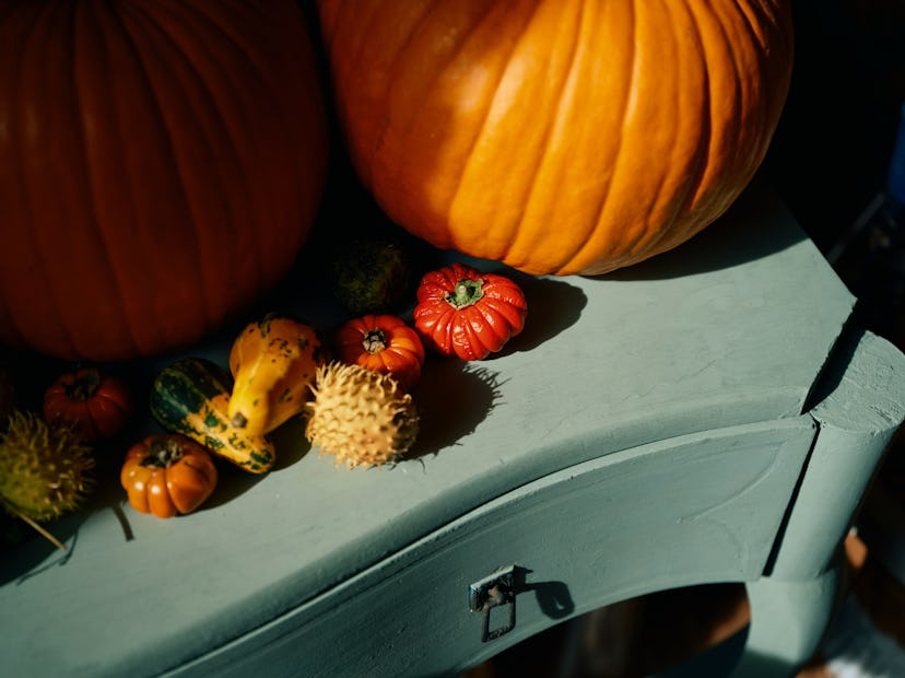 This aesthetic tension resonates with me; one early squabble with my sister occurred when she brough…